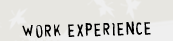 Work Experience
